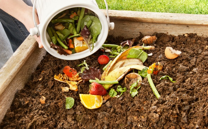 Elaborador/a de Compost y Substratos